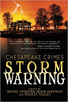 chesapeake crimes