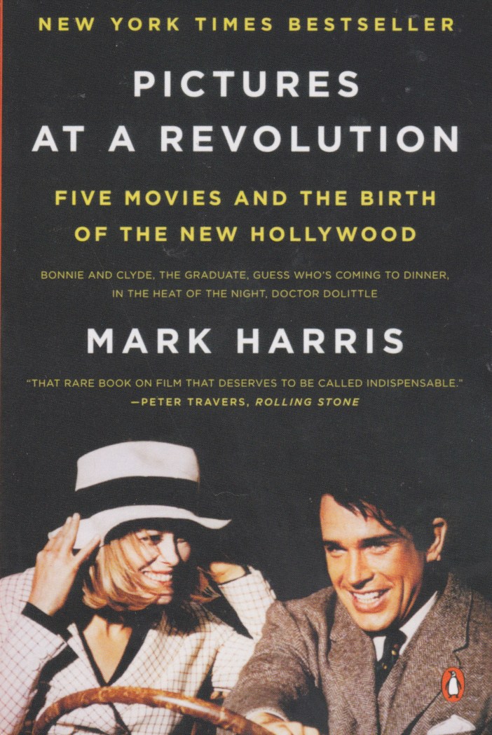 pictures at a revolution