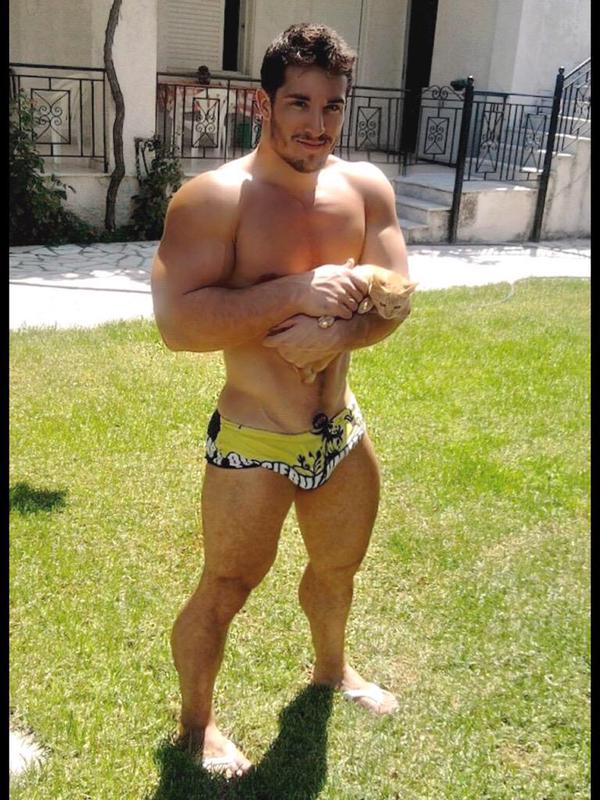 3a56ce0b-8549-4c3c-8dbd-4cd68761fc69