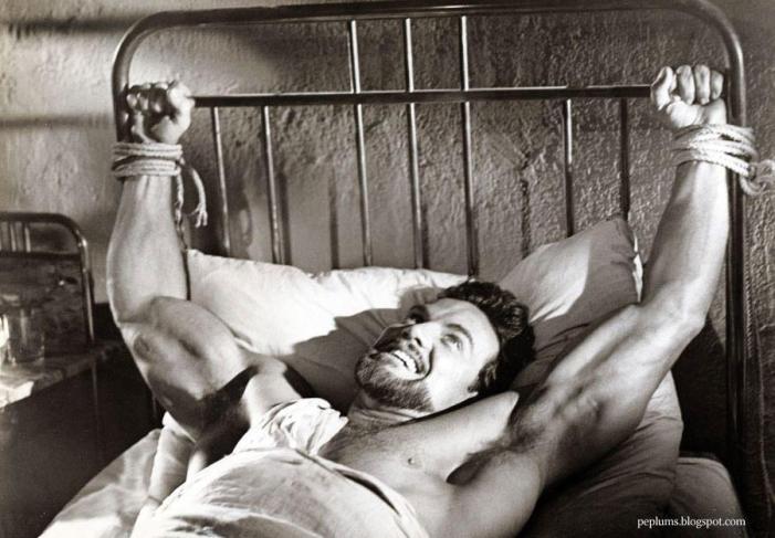 522452_288024731308516_2038510319_n