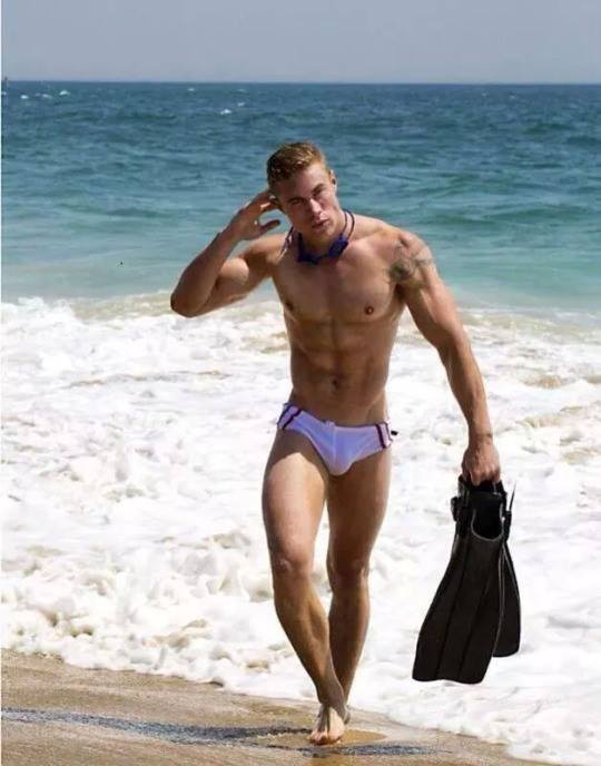 11219384_1838996466325044_5475885132296106320_n